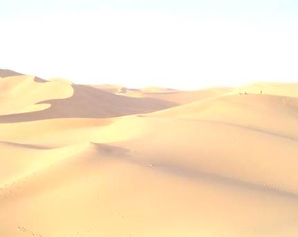 Incroyable dcouverte dans le Sahara: la mtorite a plus de 4 milliards  d&#39;annes, elle est aussi ancienne que le systme solaire - Nice-Matin