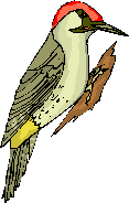 image002