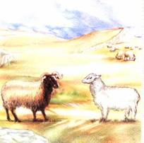 image002