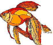 MCj00878820000%5b1%5d