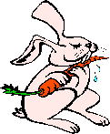MCAN02339_0000%5b1%5d