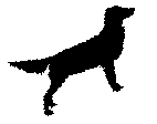 wkbnaqzr[1]