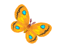 image016